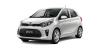 cat-a-kia-picanto-1200x_.jpg